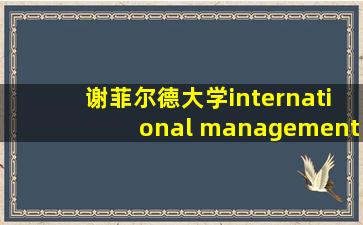 谢菲尔德大学international management